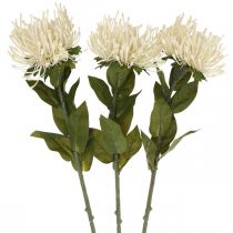 Poduszka Sztuczne Kwiaty Egzotyczne Protea Leucospermum Cream 73cm 3szt.