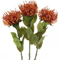 Produkt Poduszka na szpilki Egzotyczny Kwiat Sztuczny Pomarańczowy Leucospermum Protea 73cm 3szt