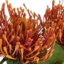 Produkt Poduszka na szpilki Egzotyczny Kwiat Sztuczny Pomarańczowy Leucospermum Protea 73cm 3szt
