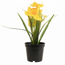 Żonkil w doniczce Żonkil żółty sztuczny kwiat W21cm