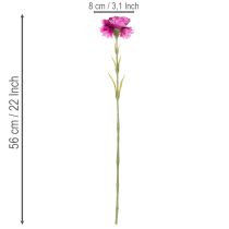 Produkt Goździk sztuczny, dwukolorowy, długa łodyga 56cm, pęczek 8 szt.