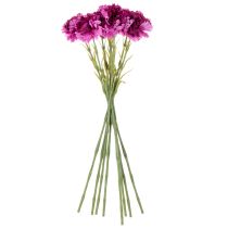 Produkt Goździk sztuczny, dwukolorowy, długa łodyga 56cm, pęczek 8 szt.