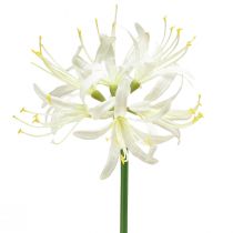 Produkt Nerine Guernsey Lilia Sztuczny kwiat Biały Żółty Ø15cm D65cm