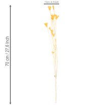 Produkt Kompozycja z suszonych kwiatów czarnuszki do długotrwałego stosowania. Elegancka i przyciągająca wzrok. 70 cm, 50 g