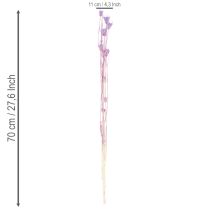 Produkt Bukiet z suszonych kwiatów czarnuszki, dekoracyjny dodatek do salonu, tworzy niepowtarzalny nastrój, 70 cm, 50 g