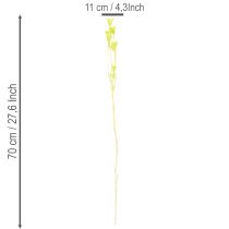 Produkt Suszone kwiaty czarnuszki, urocza, naturalna dekoracja do domu, 70 cm, 50 g