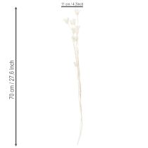 Produkt Suszone kwiaty czarnuszki, bukiet eleganckiej, naturalnej dekoracji do ekskluzywnych wnętrz, 70 cm, 50 g