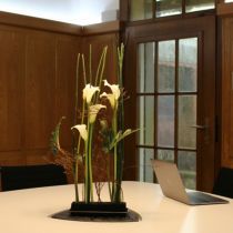 Produkt OASIS® Czarna pianka dekoracyjna na stół Medi Floral 4 szt