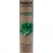 Produkt Oasis Floralife Leaf Shine Liściowy spray nabłyszczający 750ml
