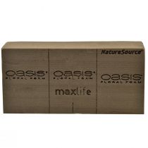 Produkt Oasis NatureSource Maxlife Pianka kwiatowa Cegła Brązowa 23×11×7,5cm 1 szt.