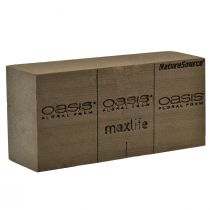 Produkt Oasis NatureSource Maxlife Pianka kwiatowa Cegła Brązowa 23×11×7,5cm 1 szt.