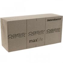 OASIS® BIOLIT® NatureSource ceglana pianka florystyczna 23cm×11cm×7cm 10 sztuk