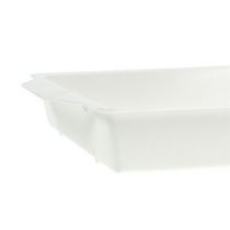 Produkt Miska wtykowa OASIS® biała 23cm x 11,5cm x 2,5cm 5 szt.