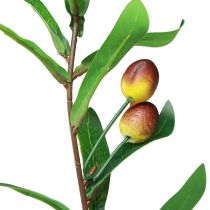 Produkt Gałązka oliwna Sztuczna gałązka dekoracyjna oliwna 45cm