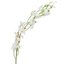 Orchidea Mokara biała 92cm 3szt.