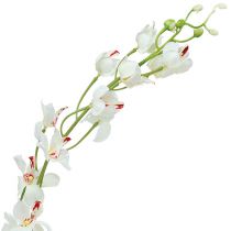 Orchidea Mokara biała 92cm 3szt.