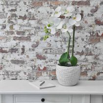 Orchidea Biała na 65 cm żarówce