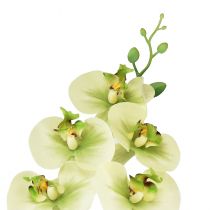 Produkt Storczyk sztuczny żółty zielony Phalaenopsis 85cm