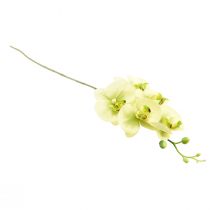 Produkt Storczyk sztuczny żółty zielony Phalaenopsis 85cm