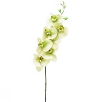 Sztuczna orchidea żółta zielona Phalaenopsis L83cm
