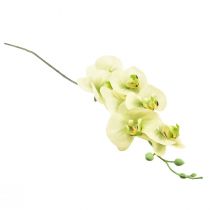 Produkt Sztuczna orchidea żółta zielona Phalaenopsis L83cm
