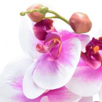 Produkt Orchidea Sztuczny Phalaenopsis 4 Kwiaty Biały Różowy 72cm