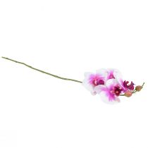 Produkt Orchidea Sztuczny Phalaenopsis 4 Kwiaty Biały Różowy 72cm