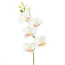 Produkt Orchidea Phalaenopsis sztuczna 6 kwiatów kremoworóżowa 70cm