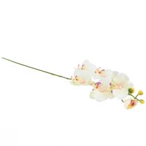 Produkt Orchidea Phalaenopsis sztuczna 6 kwiatów kremoworóżowa 70cm