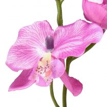 Produkt Storczyk Phalaenopsis sztuczny 6 kwiatów fioletowy 70cm