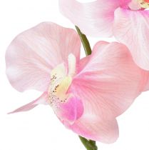 Produkt Storczyk Phalaenopsis sztuczny 6 kwiatów różowy 70cm