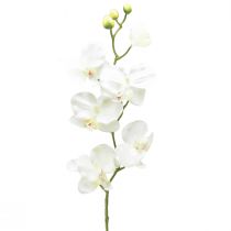 Produkt Storczyk Phalaenopsis sztuczny 6 kwiatów biały kremowy 70cm