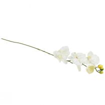 Produkt Storczyk Phalaenopsis sztuczny 6 kwiatów biały kremowy 70cm