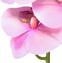 Produkt Storczyk Phalaenopsis sztuczny 8 kwiatów różowy 104cm