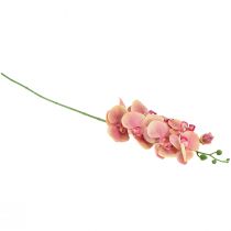 Produkt Orchidea Phalaenopsis sztuczna 9 kwiatów różowa wanilia 96cm
