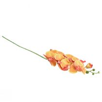 Produkt Orchidea Phalaenopsis sztuczna 9 kwiatów czerwono-żółta 96cm