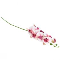Produkt Orchidea Phalaenopsis sztuczna 9 kwiatów biała fuksja 96cm