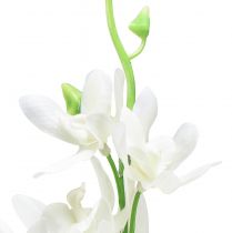 Produkt Storczyki sztuczne Oncidium sztuczne kwiaty białe 90cm