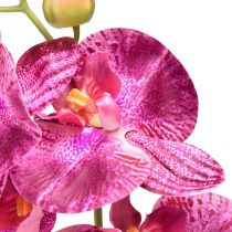 Produkt Orchidea płomieniowana sztuczna Phalaenopsis fioletowa 72cm
