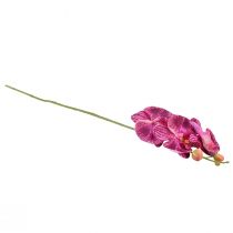 Produkt Orchidea płomieniowana sztuczna Phalaenopsis fioletowa 72cm