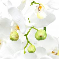 Orchidee sztuczne do doniczki białe 80cm