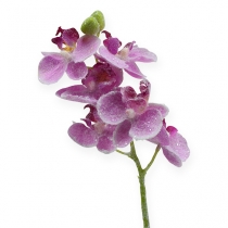 Orchidea z brokatem, różowa 35cm