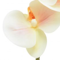 Produkt Sztuczna orchidea kremowa pomarańcza Phalaenopsis 78cm