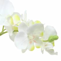Orchidee White in Pot Artificial Plant H35cm