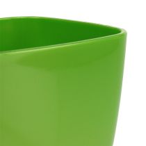 Produkt Orchidea doniczka błyszcząca Ø12,5cm limonka 1 szt