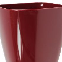 Produkt Doniczka ze storczykami błyszcząca Ø12,5cm Bordeaux 1 szt