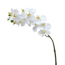 Produkt Gałązka Orchidei Biała L58cm