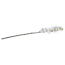 Produkt Gałązka Orchidei Biała L58cm
