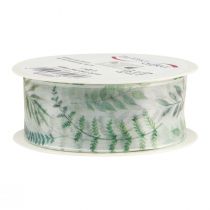 Produkt Wstążka z organzy, szyfonowa wstążka, liście, gałązki zielone, 40mm, 15m
