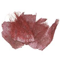 Produkt Włókno palmowe do rękodzieła Bordeaux bielone 20-40cm 250g